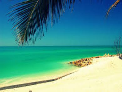 Siesta Key Condo 1119